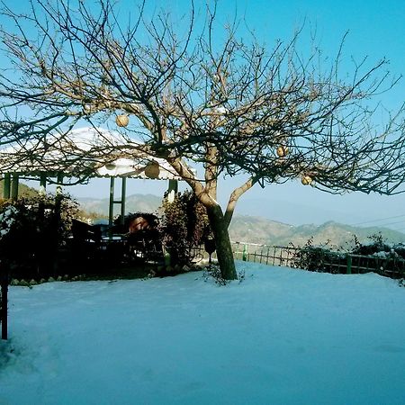 The Swiss Village Resort Nainital Dış mekan fotoğraf