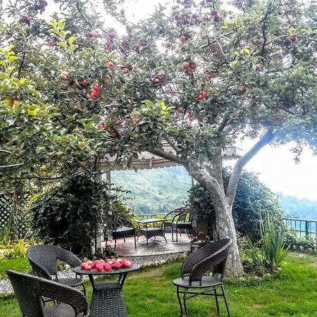 The Swiss Village Resort Nainital Dış mekan fotoğraf