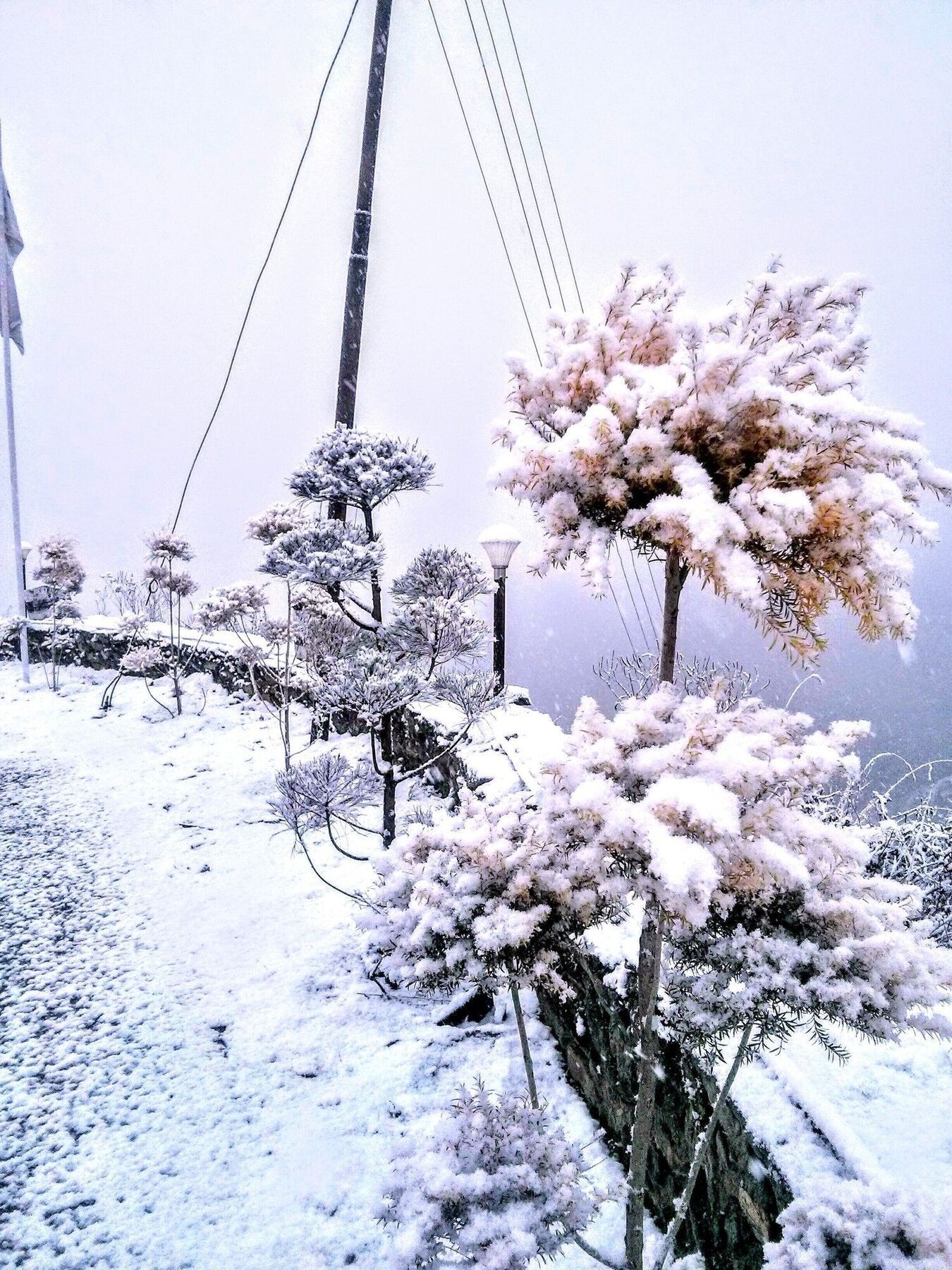 The Swiss Village Resort Nainital Dış mekan fotoğraf